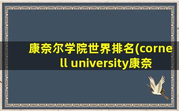 康奈尔学院世界排名(cornell university康奈尔大学排名)